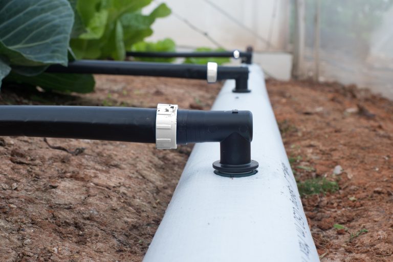 FlexNet™-piping-solution-by-Netafim-India-in-Farm-field-5-768x513