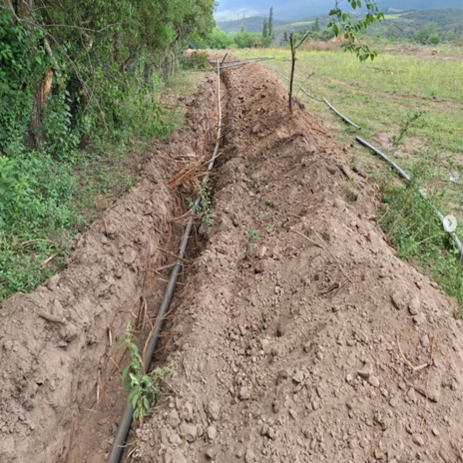 trabajo campo